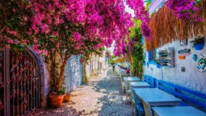 alacati kapakkaee