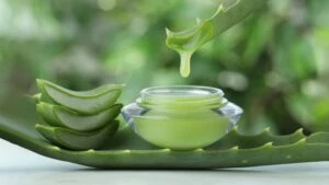aloe vera sac jeli yapimi