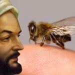 Arı sokması öldürür mü? İbni Sina’dan arı sokmasına çare!