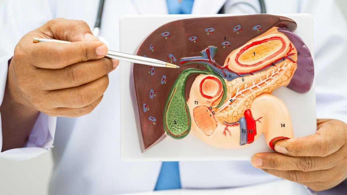 Bağırsak ve mide alarmı başladı! Aciller doldu taştı