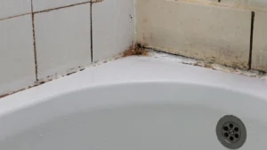 banyo kuf ujgq cover kugz cover