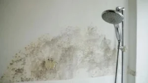 banyoda tek bir kuf lekesi dahi kalmayacak kuf lekelerini saniyeler icerisinde temizlemenin sirri bulundu kuf nasil temizlenir e6ej