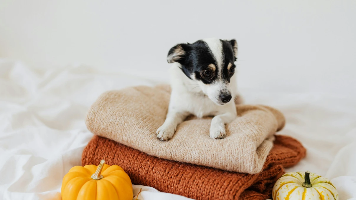 Kışın örgü battaniye örmek isteyenlere ilham veren desenler 2025 5 battaniye 1 1