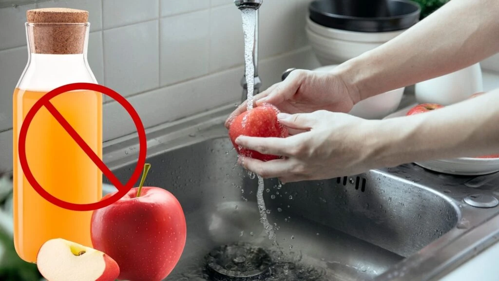 Besinleri sirkeye basmayın! Yıllardır bilinen yanlış
