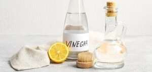 Kış aylarında evde oluşan rutubet kokusunu anında gideren doğal formül! 10 beyaz sirke 23 93769 WebImage t