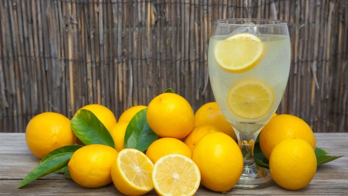 bir bardak asla yetmeyecek pastane usulu hakiki limonata tarifi 7