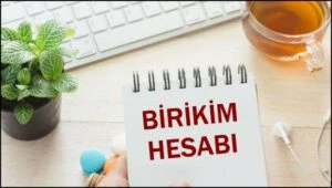 birikim hesabi 1