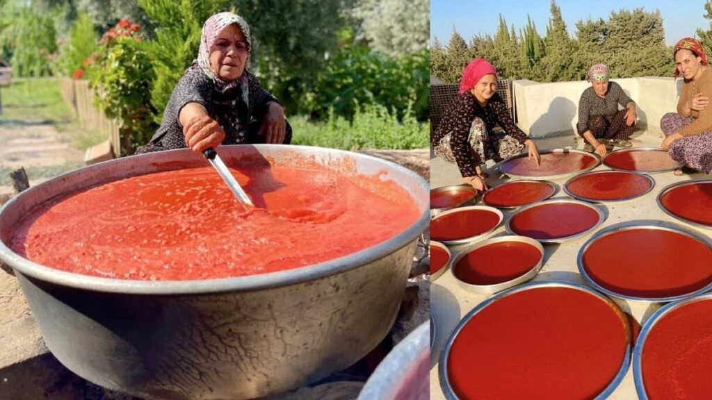 bozulmayan salcanin koy usulu sirri 1 sene kuflenmeden taze kaliyor 1