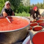 bozulmayan salcanin koy usulu sirri 1 sene kuflenmeden taze kaliyor 1