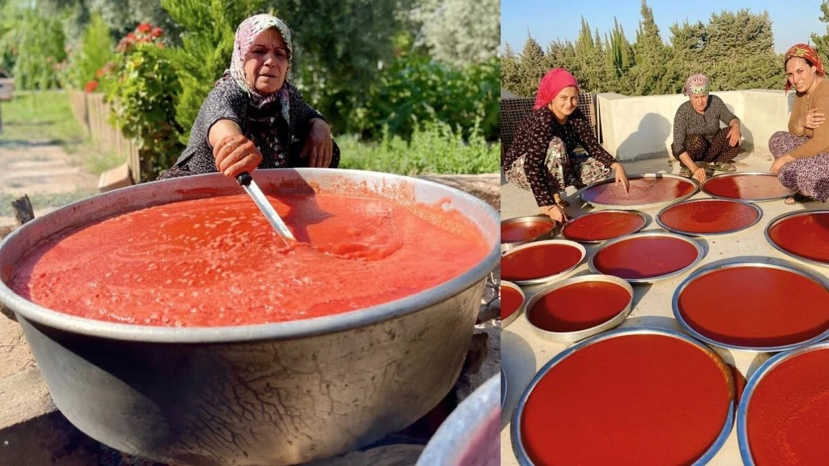 bozulmayan salcanin koy usulu sirri 1 sene kuflenmeden taze kaliyor 1