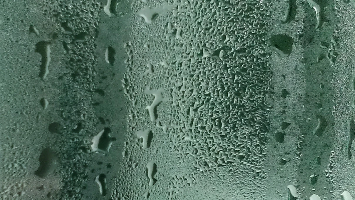 bugu 6