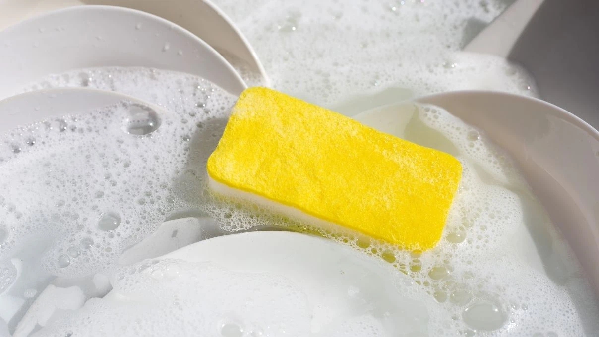 Mutfaklardaki en zehirli malzeme! Bulaşık süngerine dikkat