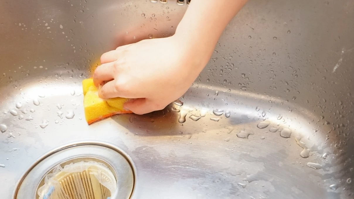Mutfaklardaki en zehirli malzeme! Bulaşık süngerine dikkat