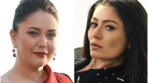 carpinti dizisi konusu
