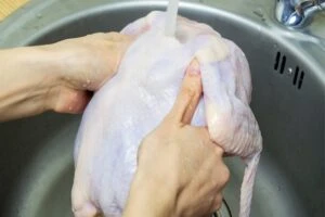 cig tavuk zehirler mi 63ea4d5611440