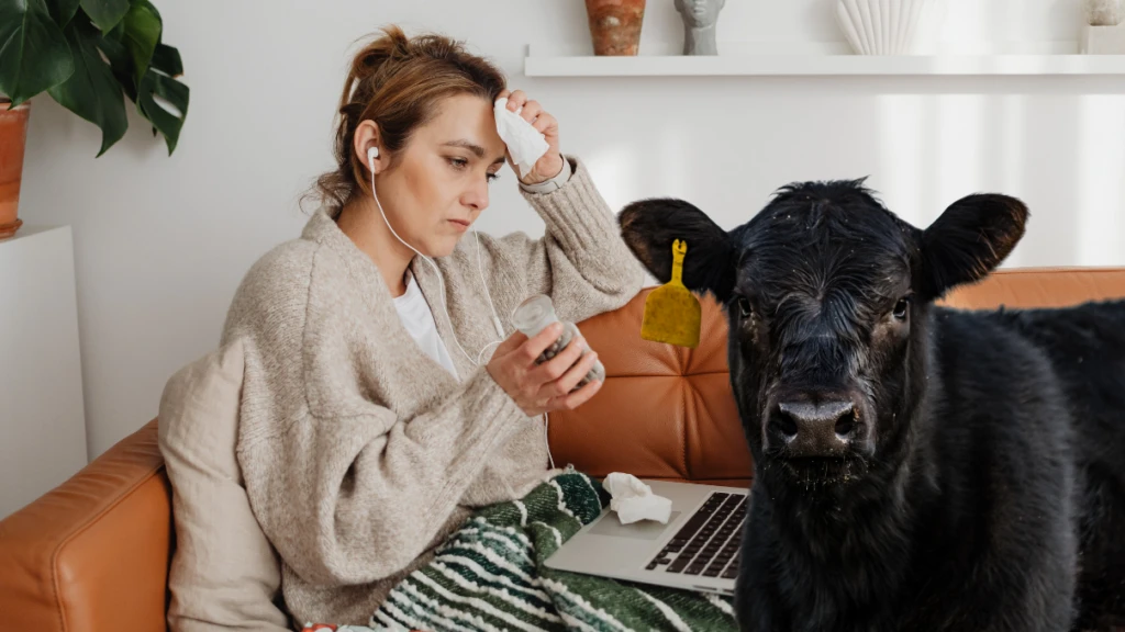 deli dana hastaligi 7