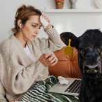 deli dana hastaligi 7