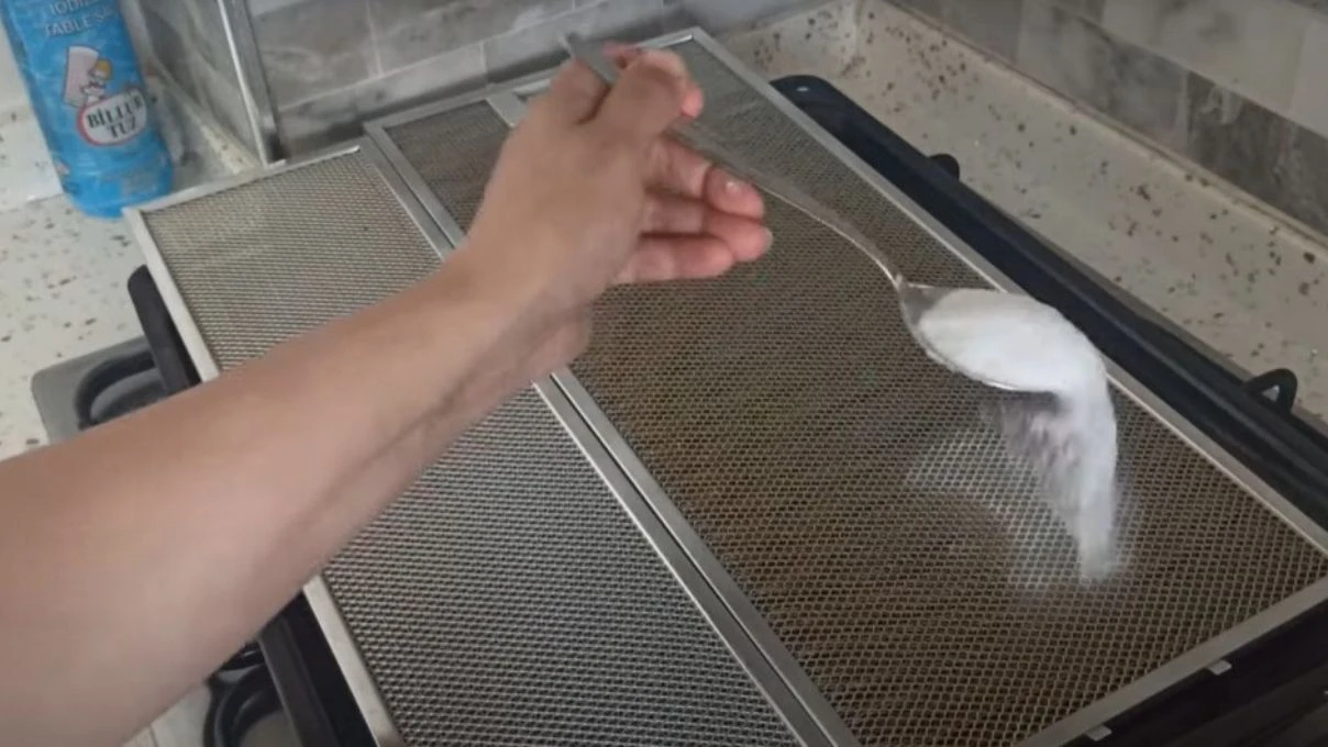 dogal malzemelerla aspirator temizligi