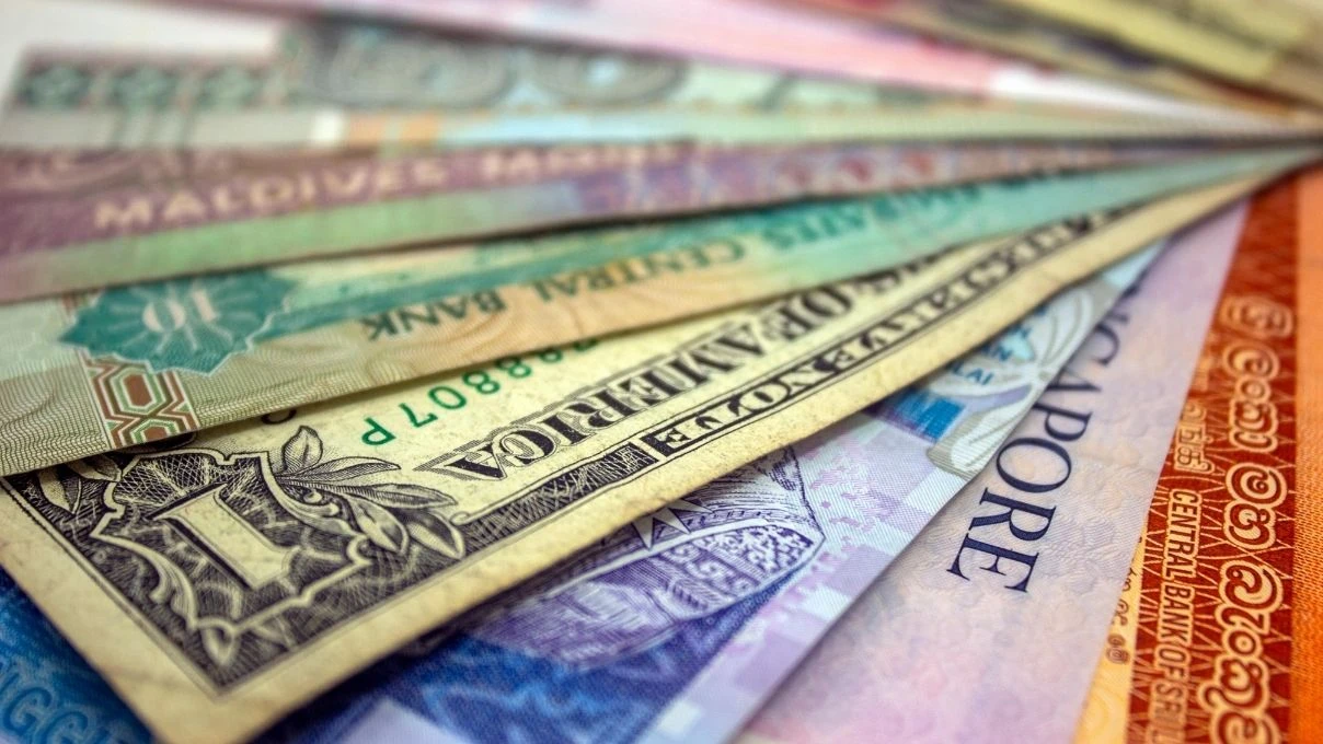 Kadınların en çok merak ettiği: Döviz ve altın birikimi nasıl yapılır? 