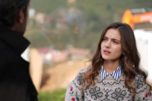 dsc02401 1 scaled pkln