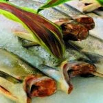 fish 50463 1280