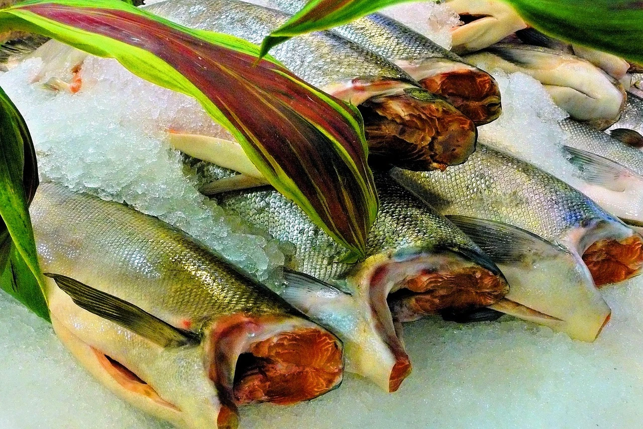 fish 50463 1280