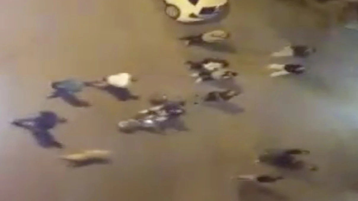 gULLU 8