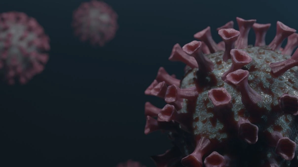 Dünyanın yeni kabusunun adı: H3N2! H3N2 ne gribi? 8 Dünyanın yeni kabusunun adı: H3N2! H3N2 ne gribi?