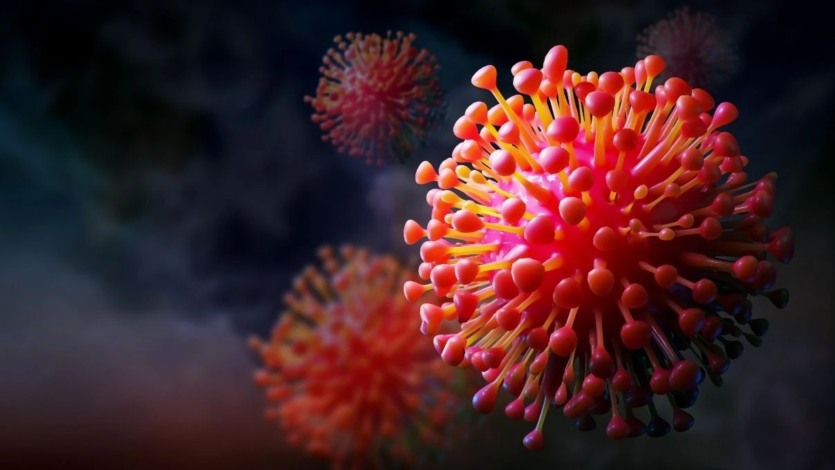 Dünyanın yeni kabusunun adı: H3N2! H3N2 ne gribi? 4 Dünyanın yeni kabusunun adı: H3N2! H3N2 ne gribi?