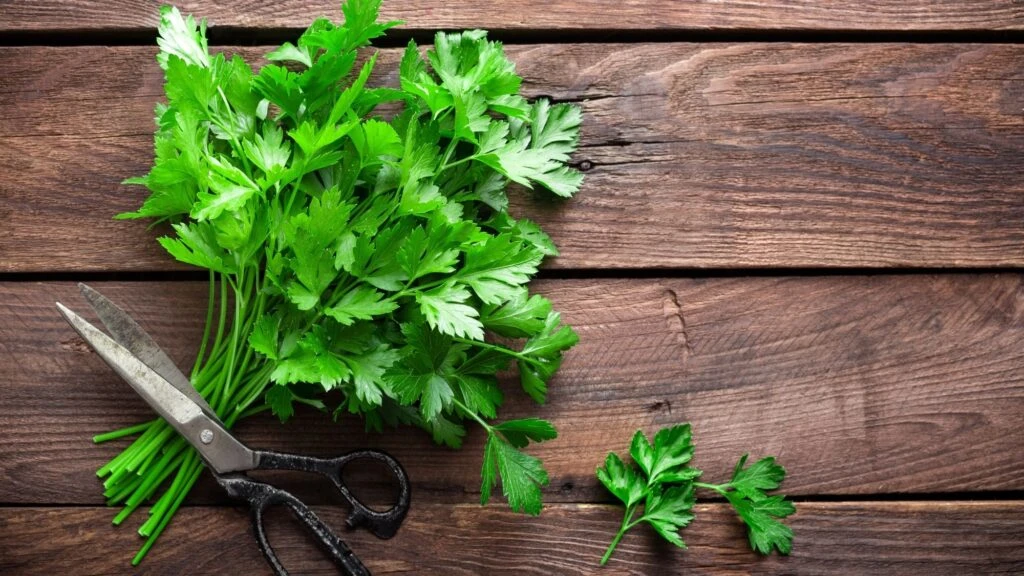 Bu karışımı içen 3 günde 2 kilo verdi! Diyetisyenler onayladı