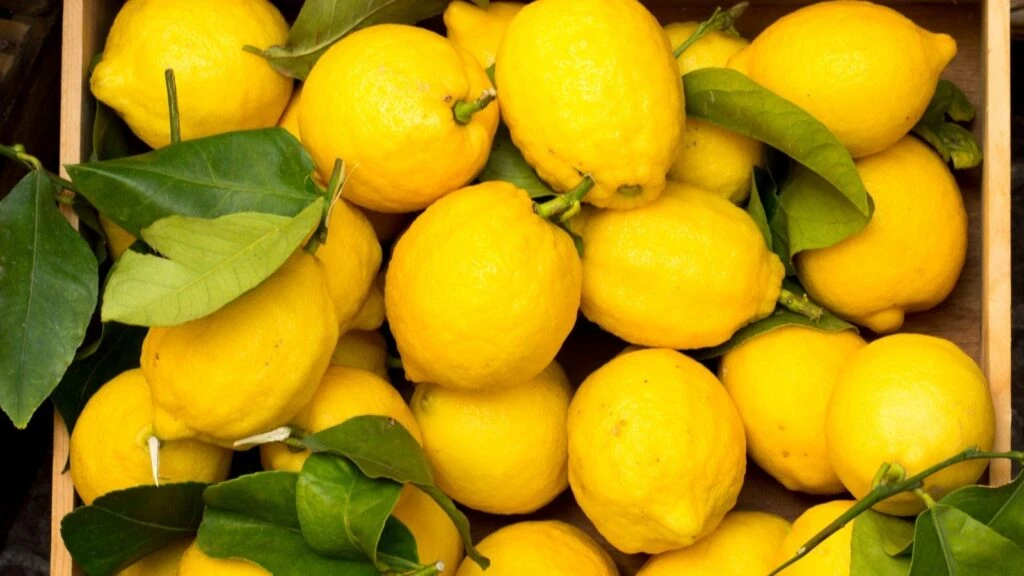 Pişmiş limonun inanılmaz faydası! Gizli diyet silahı