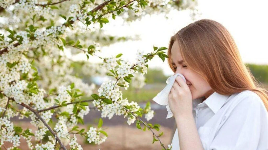 Yüz göz şişiriyor saatlerce hapşırtıyor! Polen alerjisi alarmı verildi