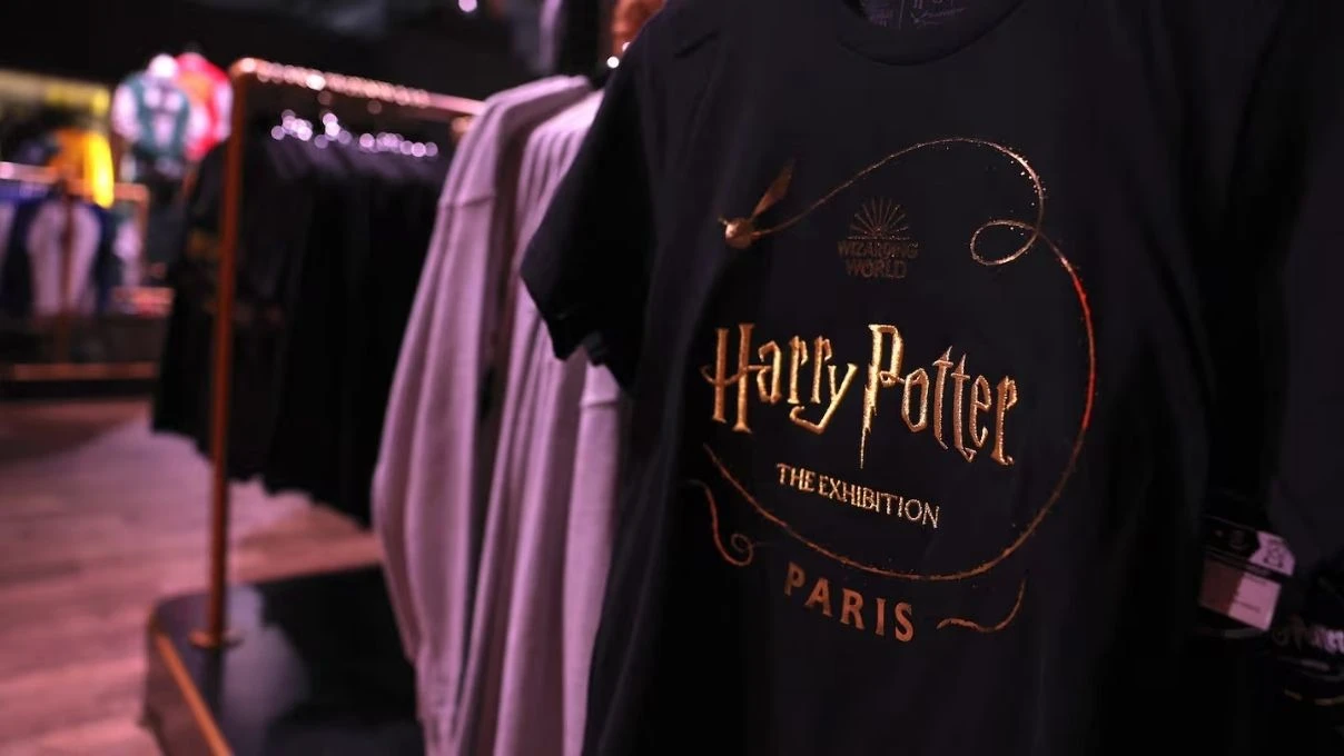 harry potter dizisi oyuncu kadrosuna dahil olan oyuncular