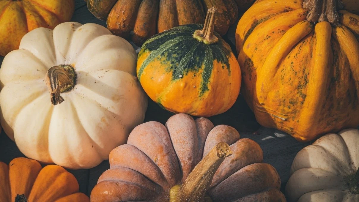 Uzman Oturakçıibogil sıraladı! Sonbaharda hastalıklara kalkan olan 8 besin