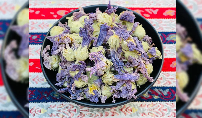 İbn-i Sina’dan kaşıntıya kesin çözüm! Hem suyu hem de kendisi oldukça faydalı 11 hatmi 4