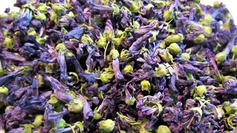 İbn-i Sina’dan kaşıntıya kesin çözüm! Hem suyu hem de kendisi oldukça faydalı 8 i 22 9