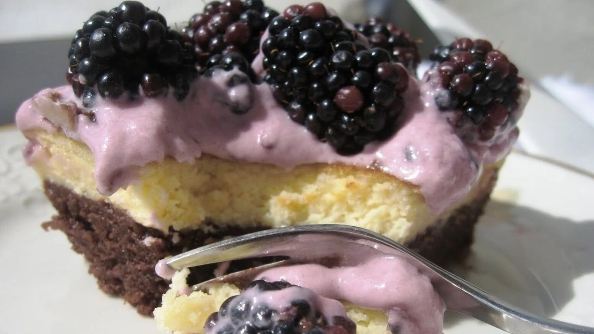 ilk lokmada kendine asik ediyor kivami ve lezzetiyle mest eden bogurtlenli cheesecake tarifi 4