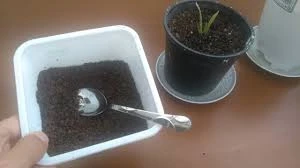 images 2 4