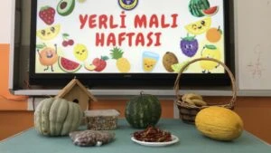 k 19200337 c125f6f08bd348aa9310e095391bd50b