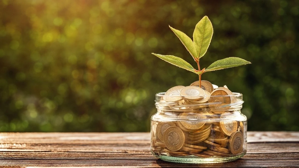 Kadınlar artık sadece tasarruf etmiyor, yatırım stratejisi kuruyor! 