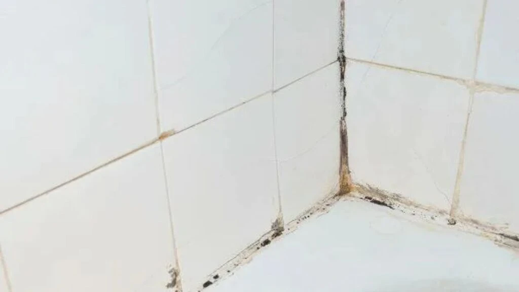 Kararmış beyaz derzleri bembeyaz yapın! Keşke önceden öğrenseydim diyeceksiniz