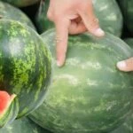 karpuz secmenin puf noktasi elinizle koymus gibi en iyisini bulacaksiniz 1