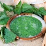 Kaşık kaşık şifa ısırgan yemeği tarifi, yiyen doktor yüzü görmüyor