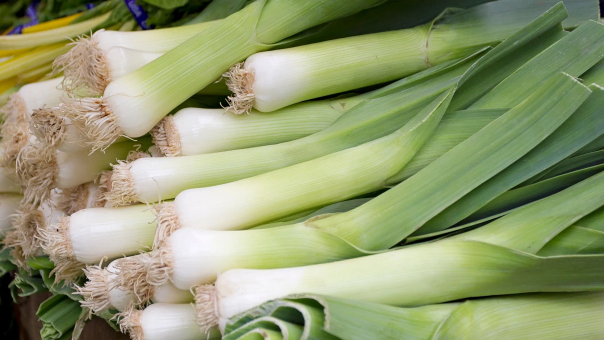 Tok tutan kış lezzetleri! Hem kokusu hem görüntüsü cazibeli 9 kis yemekleri 1