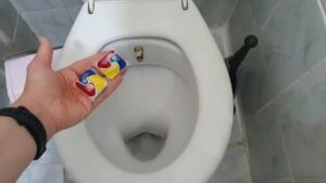 klozet temizligi