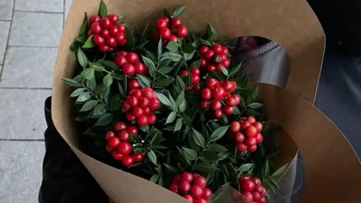 Kokina çiçek ne zaman alınır? Kokina çiçek kime alınır?