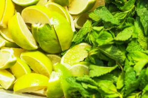 lemon slices green mint leaves