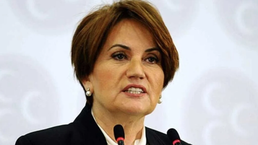 meral aksener kimdir ve kac yasinda meral aksener in kokeni nereli kac cocugu var 1