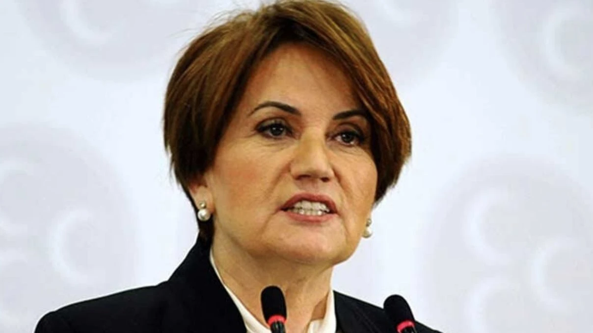 meral aksener kimdir ve kac yasinda meral aksener in kokeni nereli kac cocugu var 1