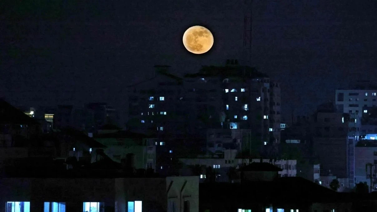 mersin baligi dolunayi adi nereden geliyor
